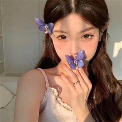 柳生武艺帐 双龙秘剑